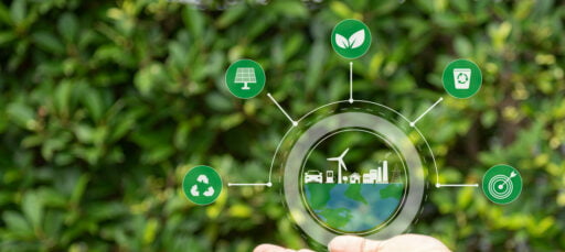 Sustainable Business Practices cover