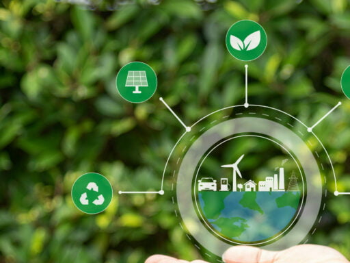 Sustainable Business Practices cover