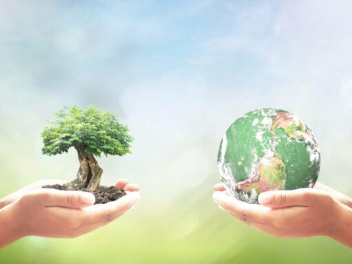 SDGs Sustainable Development Goals cover