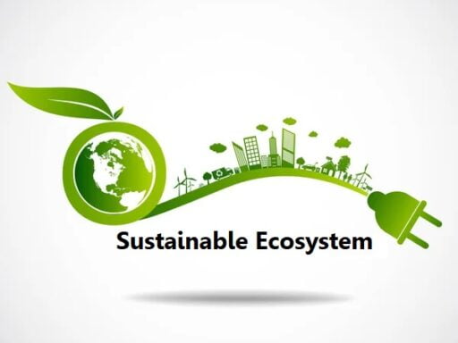 Sustainable Ecosystem cover
