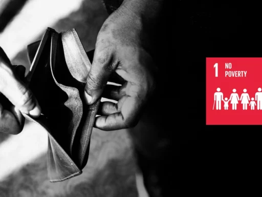 The SDG Goal 1: No Poverty cover