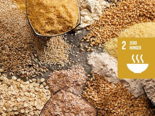 sdg goal 2 zero hunger
