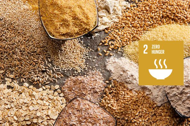 sdg goal 2 zero hunger