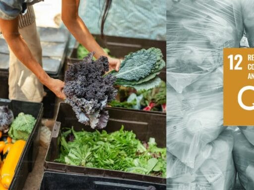 The SDG Goal 12 Responsible Consumption and Production