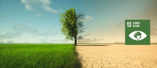 sdg goal 13 climate action