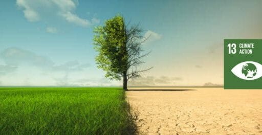 sdg goal 13 climate action