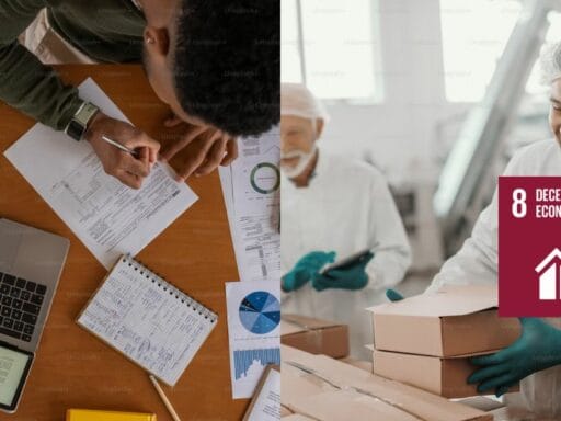 sdg goal 8 decent work and economic grow