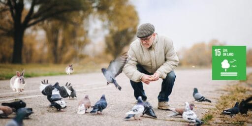 sdg goal 15 life on land