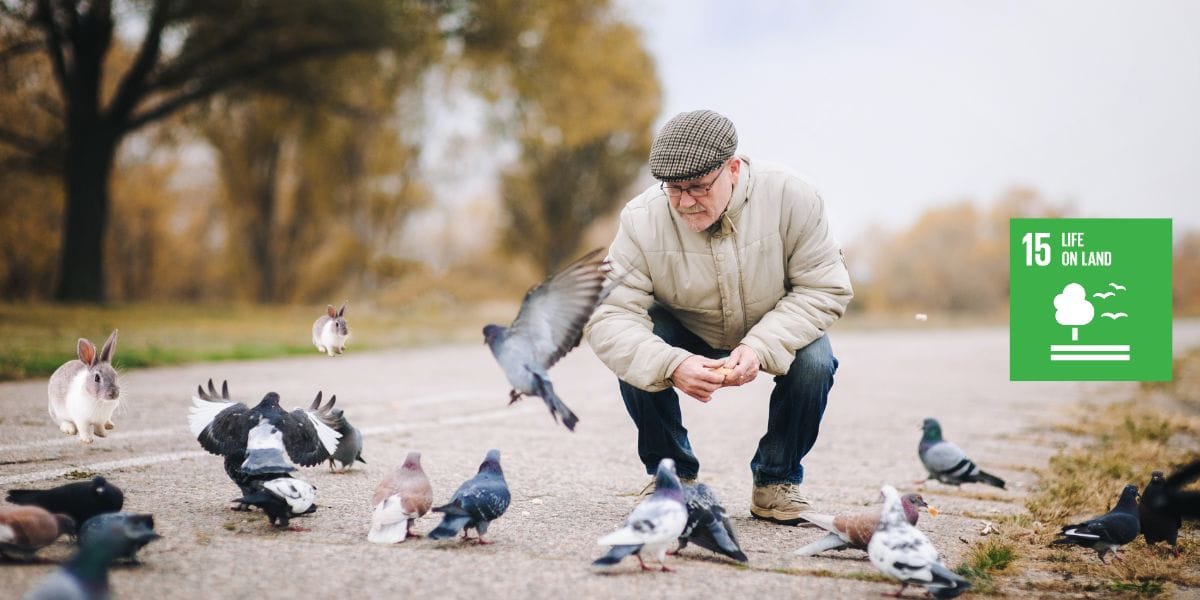 sdg goal 15 life on land