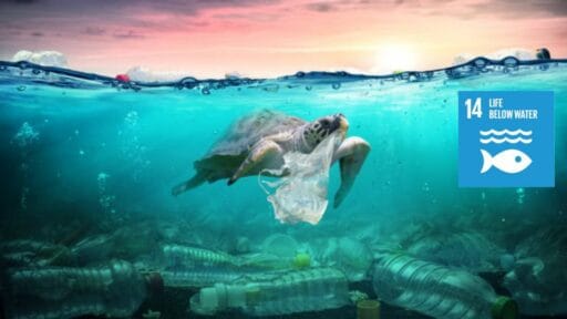 sdg goal 14 cover life below water