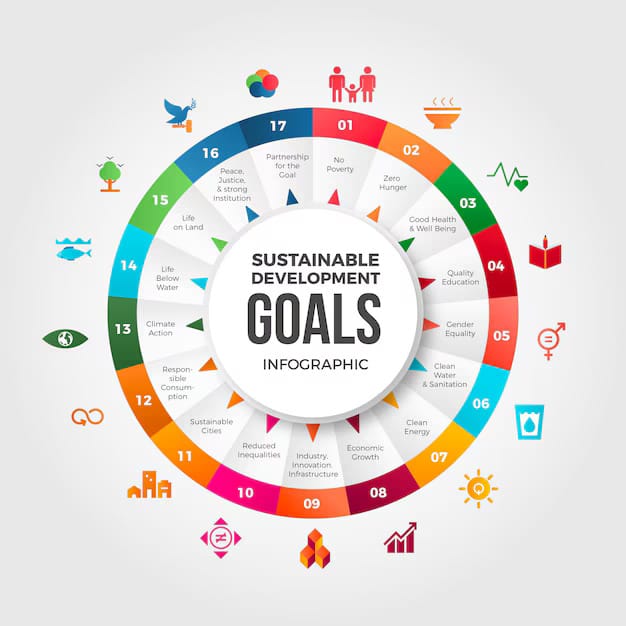 sdg goal 17