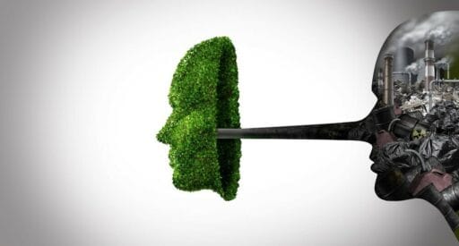Greenwashing Undermines Sustainability cover
