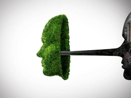 Greenwashing Undermines Sustainability cover