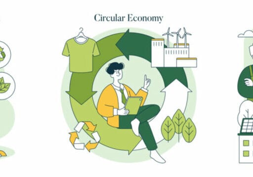 Circular Economy Strategies cover