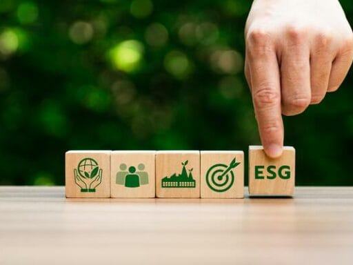 The Business Value of ESG