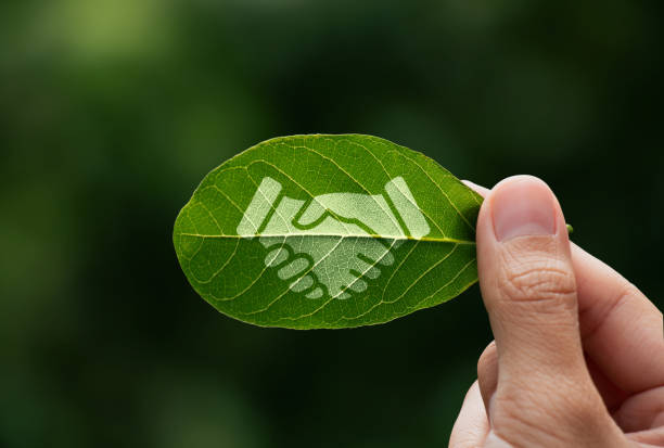 climate action with help