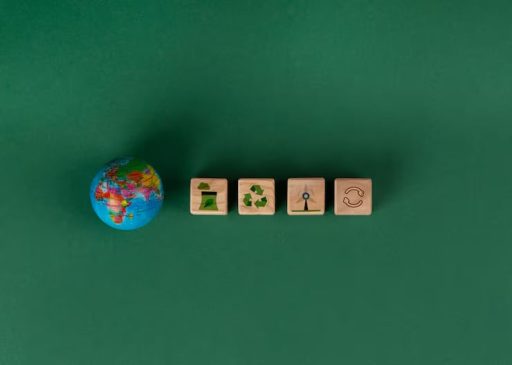 Circular Economy 2025 cover