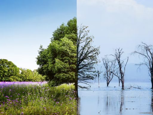 climate action plan 2025 cover