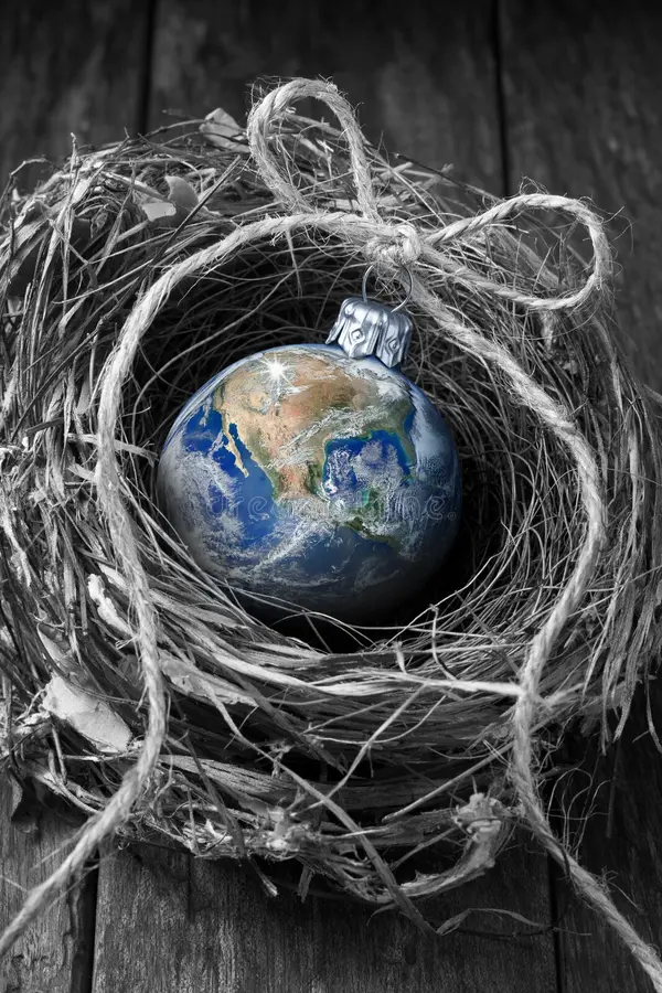 christmas-earth-birds-nest-ornament-wood