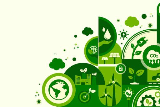 Circular Economy Practices cover