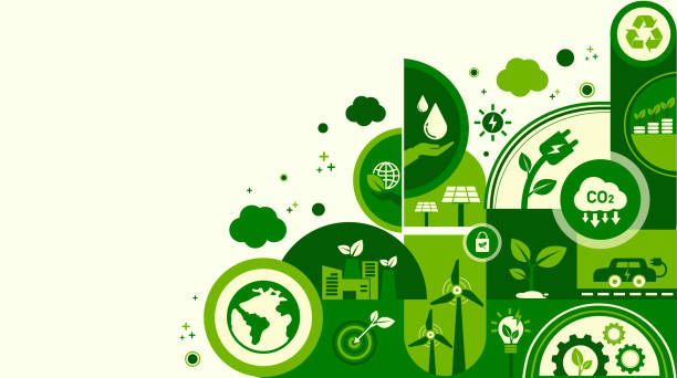 Circular Economy Practices cover
