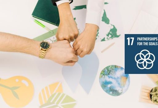 SDG partnerships for sustainability cover