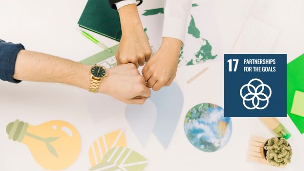 SDG partnerships for sustainability cover