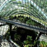 Sustainable Business practice