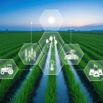 Sustainable Agriculture and SDG 2 cover